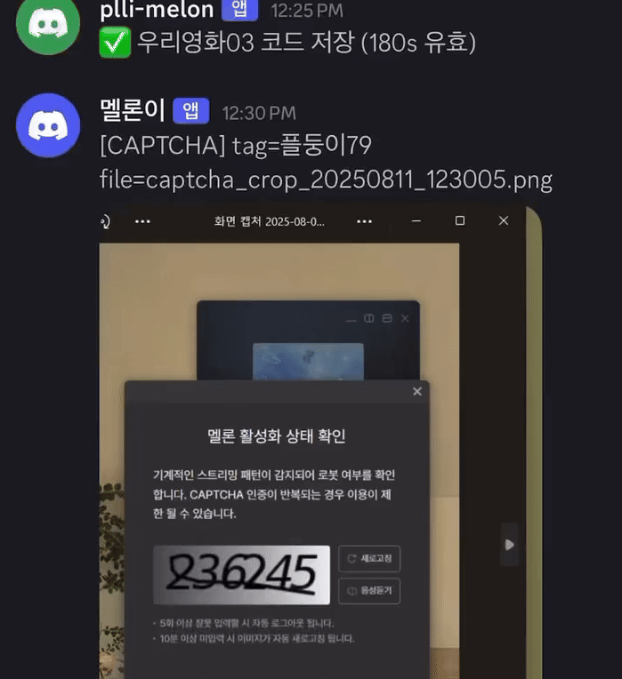 디스코드 코드 입력 방법